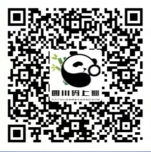 图片1